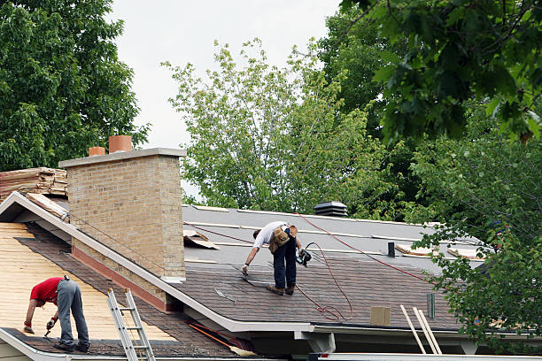Best Roof Gutter Cleaning  in Robie Creek, ID