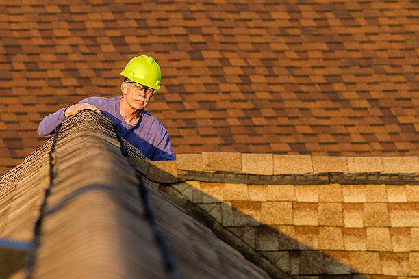 Best Roof Gutter Cleaning  in Robie Creek, ID